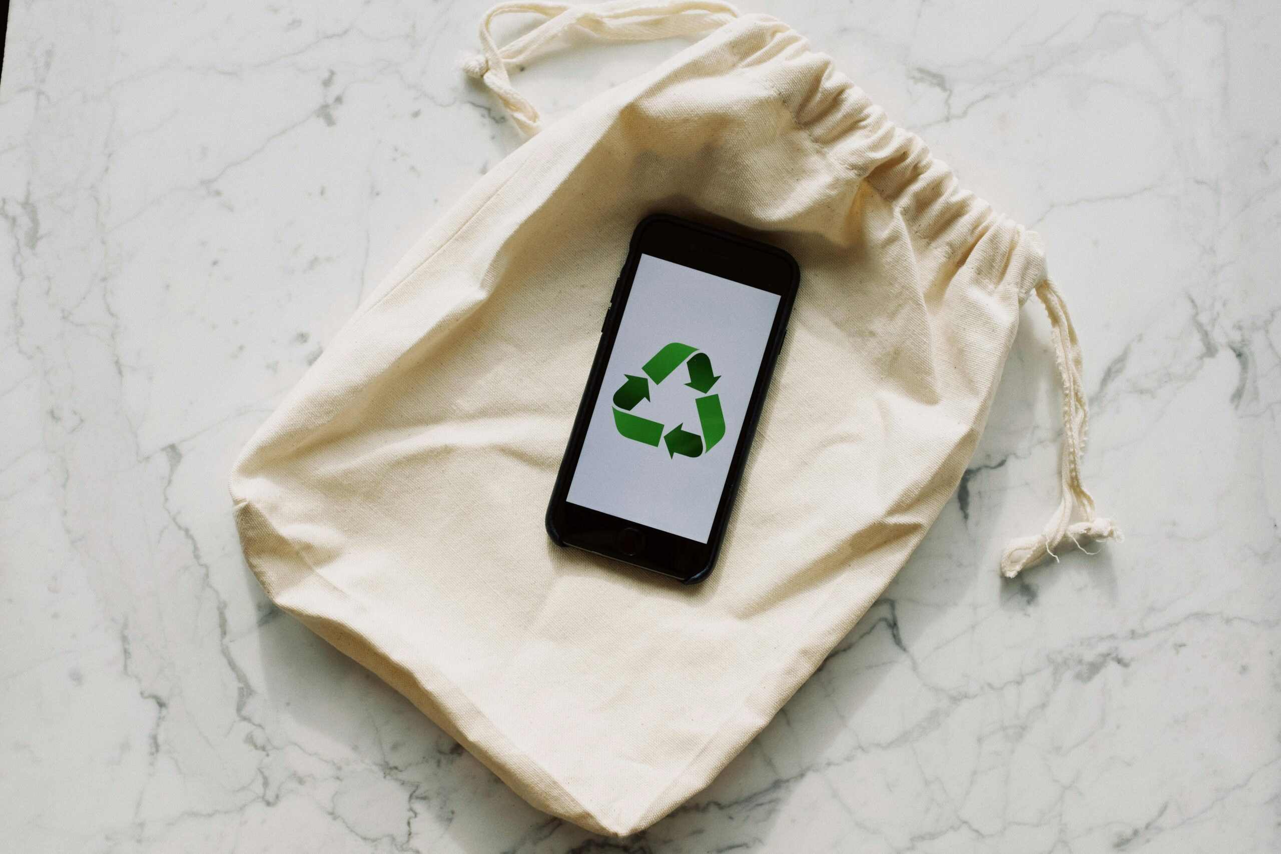 Sanglier sauvage, innovations digitales filière gibier C2F Concept